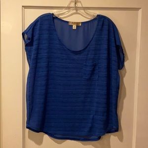 Sheer Blue Blouse